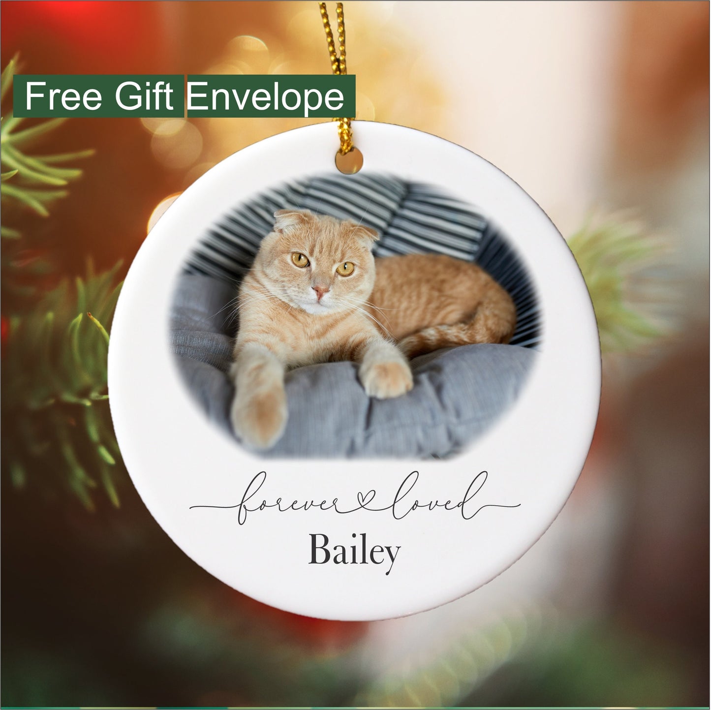 Pet Remembrance Ornament with Photo, Round Ceramic Ornament