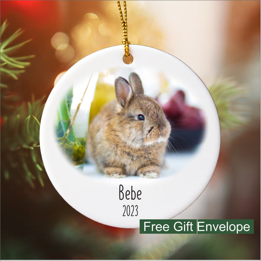 Personalized Pet Photo Ornament, Custom Pet Memorial Keepsake, Dog Cat Photo Christmas Ornament