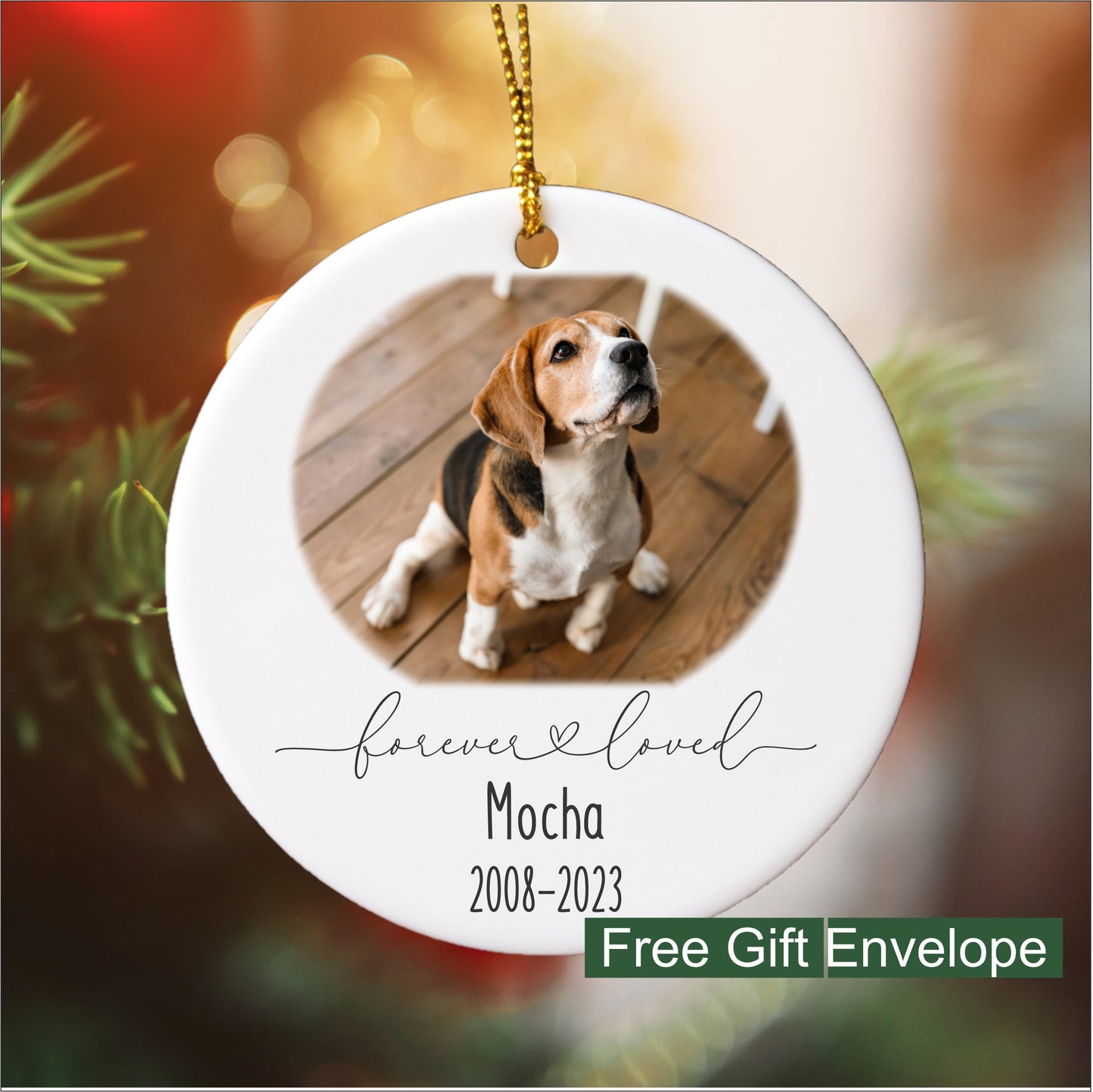 Pet Remembrance Ornament with Photo, Round Ceramic Ornament
