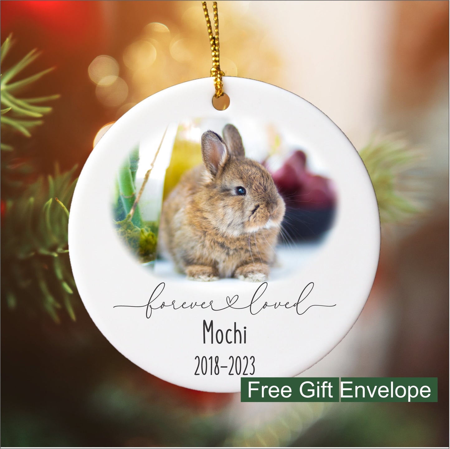 Pet Remembrance Ornament with Photo, Round Ceramic Ornament